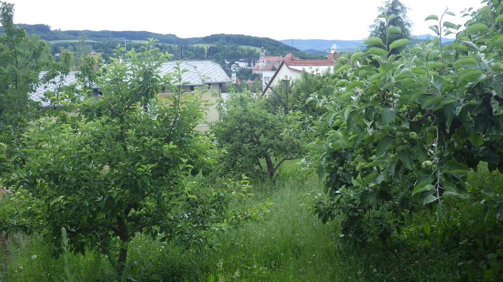 Ubytovani U Dolanskych Cesky Krumlov Exterior photo